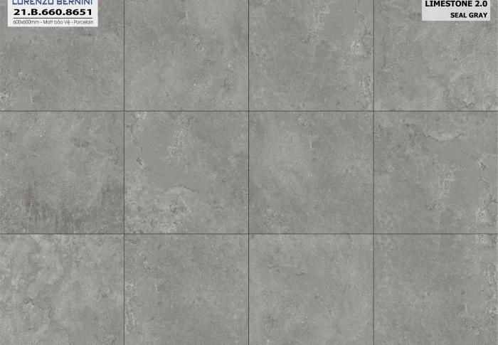 LIMESTONE 2.0 21.B.660.8651