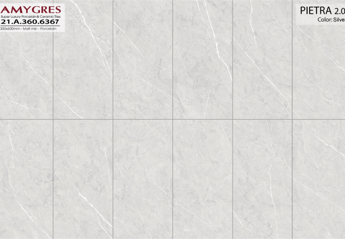 Pieatra 2.0 21.A.360.6367