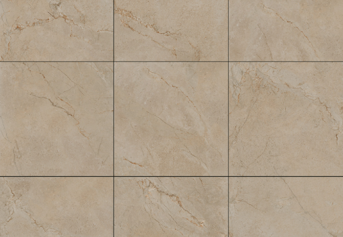 SILVER ROOT 21.B.880.5507
