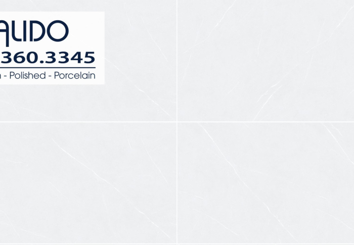 Solo 21.C.360.3347