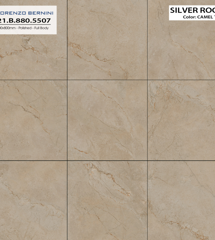 SILVER ROOT 21.B.880.5507