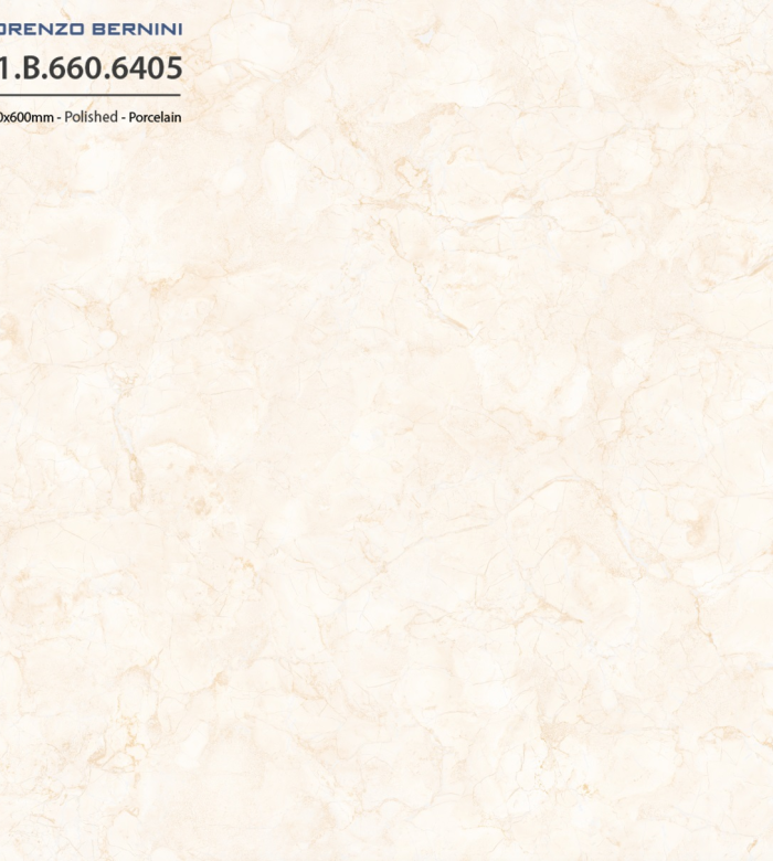Solo 21.B.660.6405