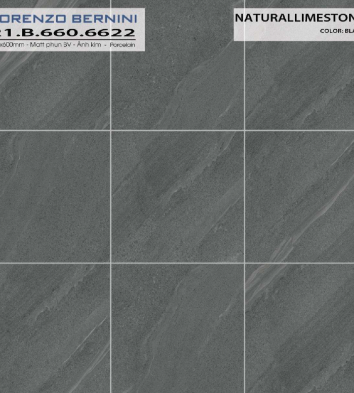 LIMESTONE 21.B.660.6622