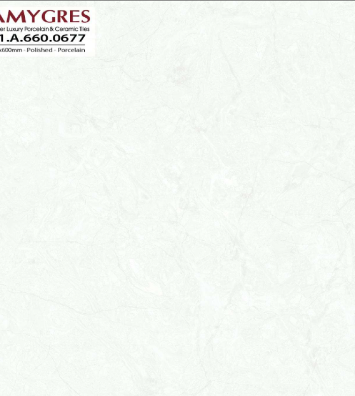 Solo 21.A.660.0677