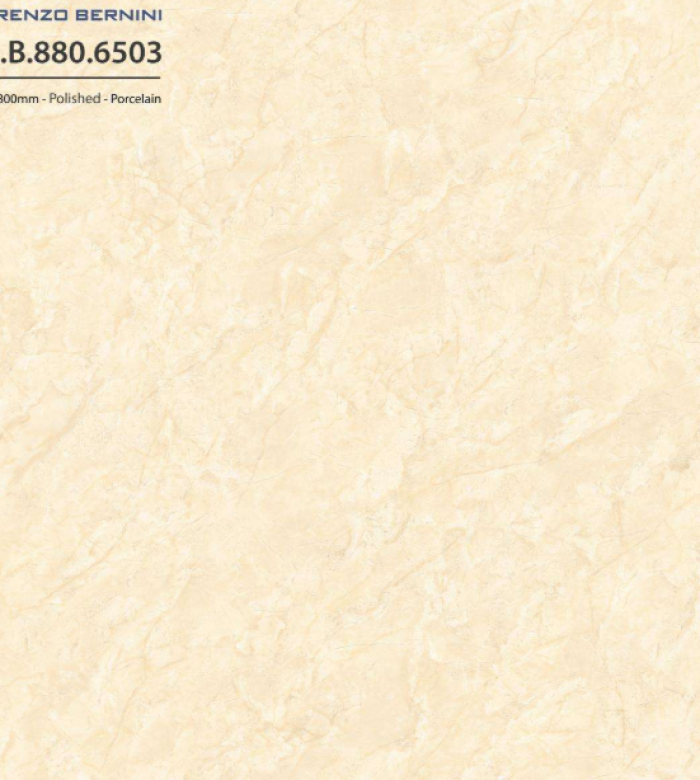 Solo 21.B.880.6503