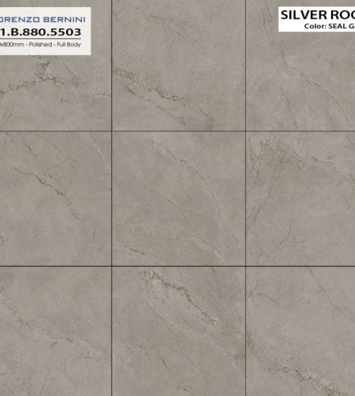 SILVER ROOT 21.B.880.5503