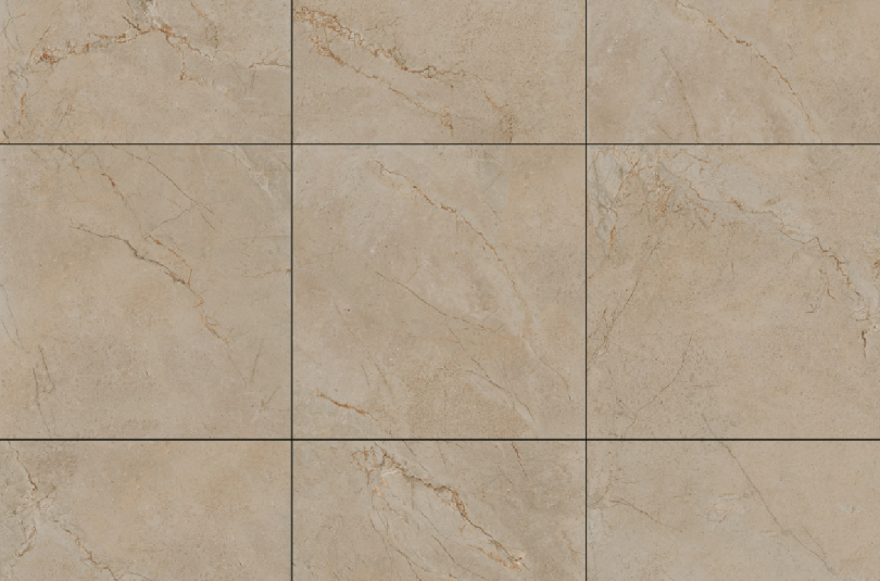 SILVER ROOT 21.B.880.5507