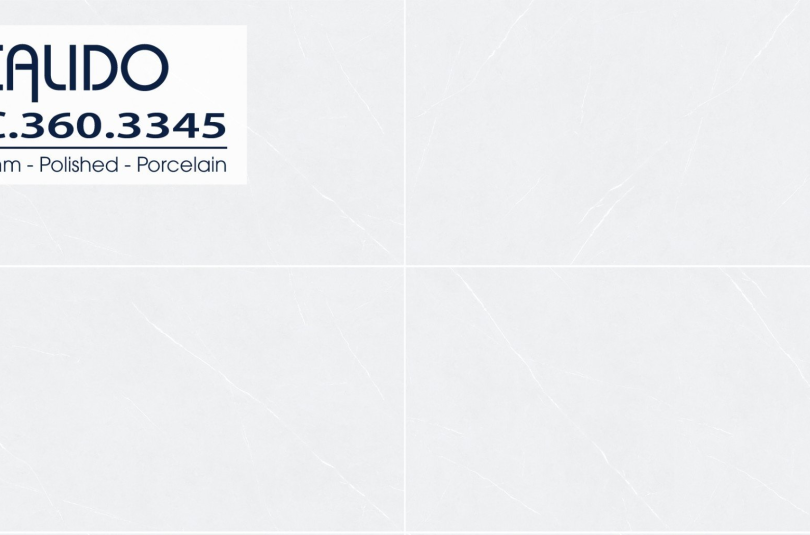 Solo 21.C.360.3347