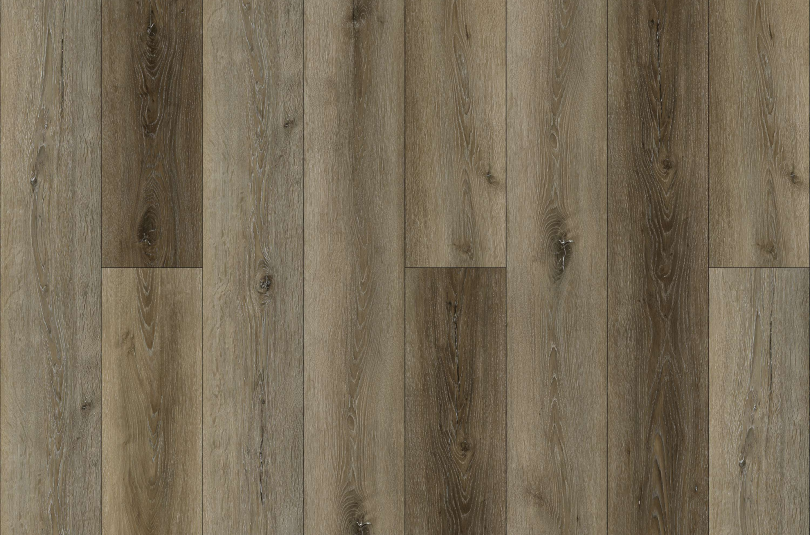 DEXTER OAK 31.AM.50.0016.25