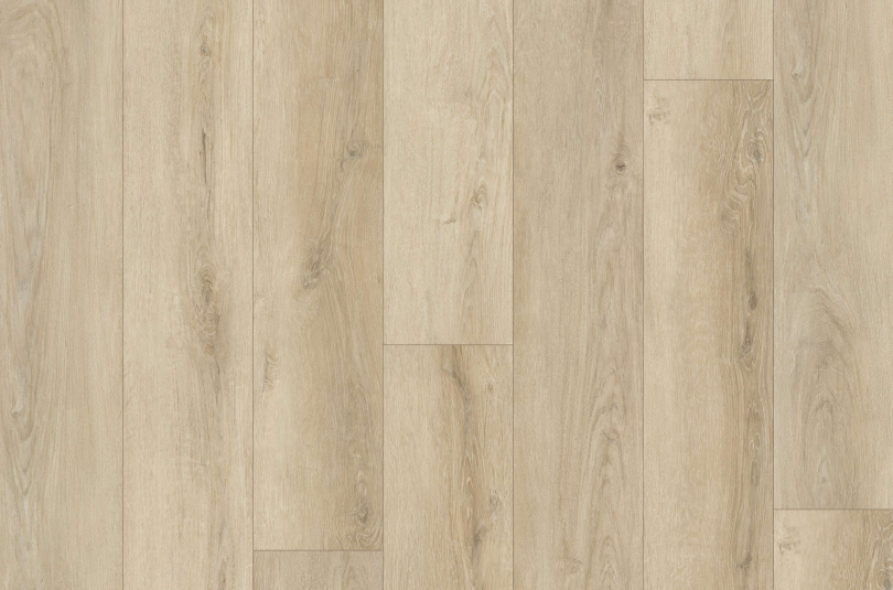 WAIPA OAK 31.TM.60.0575.06