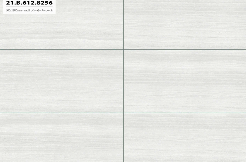 COASTLINE 21.B.612.8256