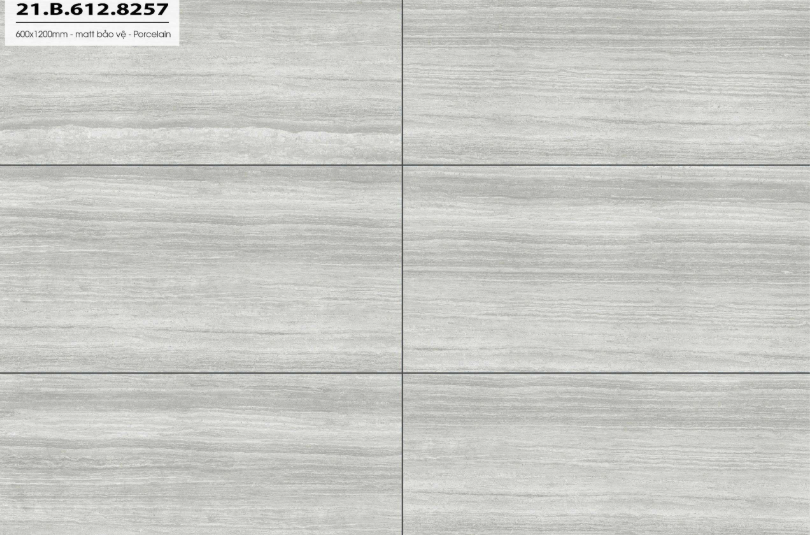 COASTLINE 21.B.612.8257