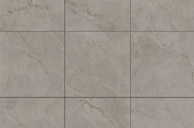 SILVER ROOT 21.B.880.5503